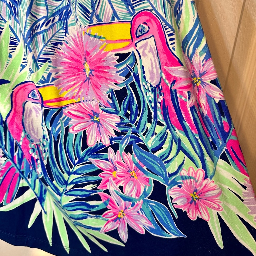 Lilly Pulitzer Let’s Mango Parigi Dress